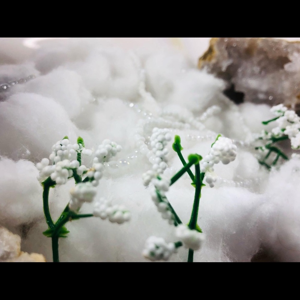 𝑴𝒂𝒈𝒊𝒄𝒂𝒍 𝒘𝒉𝒊𝒕𝒆 - Picture 3 of 3